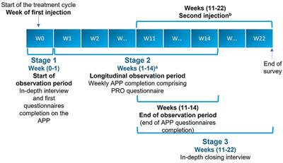 Experiences of patients with poststroke spasticity throughout a botulinum toxin treatment cycle: Results from a prospective ethnographic study